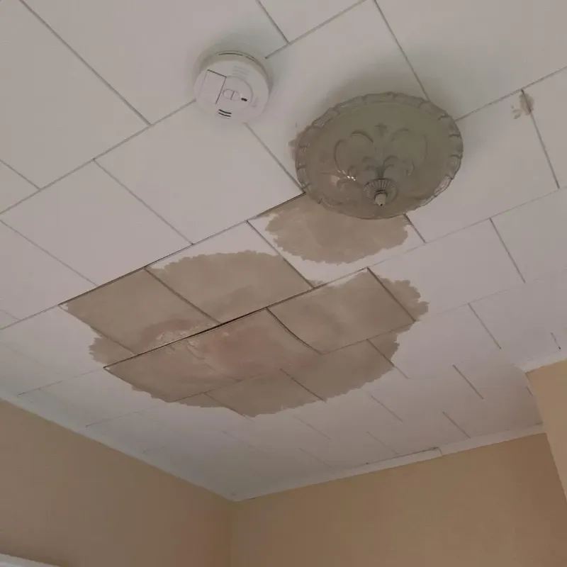 Ceiling Water Damage Repair in Oak Grove, LA