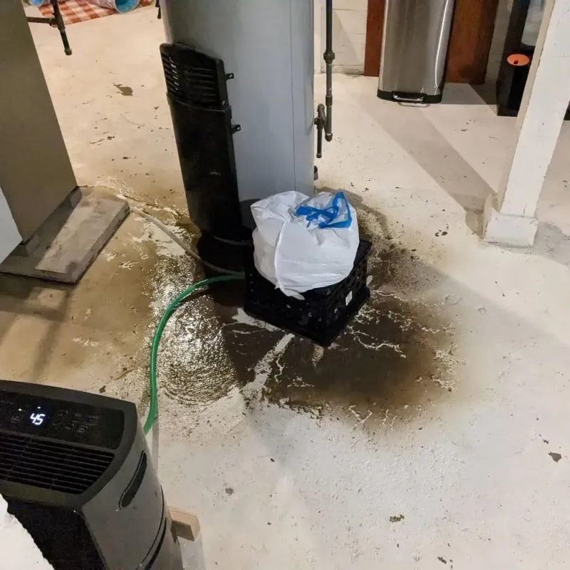 Sewage Backup Cleanup Service in Oak Grove, LA